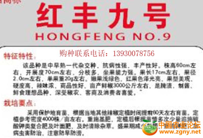 10、红丰九号特性.jpg