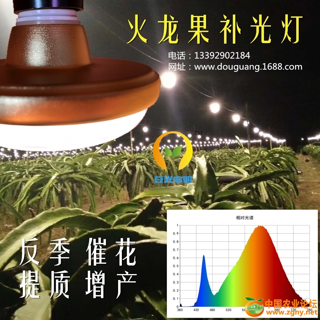 A火龙果补光灯_有电话.jpg